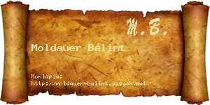 Moldauer Bálint névjegykártya