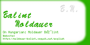 balint moldauer business card